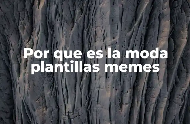 Por que es la Moda Plantillas Memes
