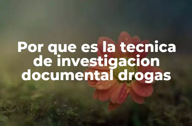 Por que es la Tecnica de Investigacion Documental Drogas
