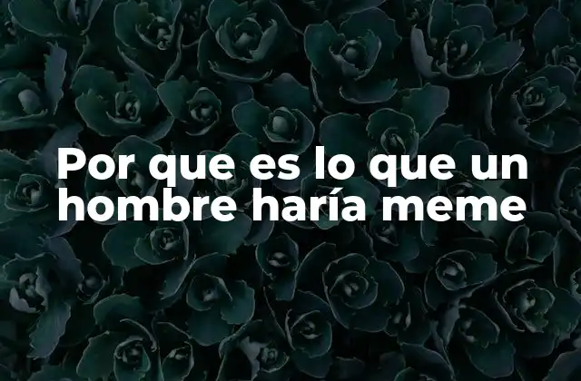 Por que es Lo que un Hombre Haría Meme