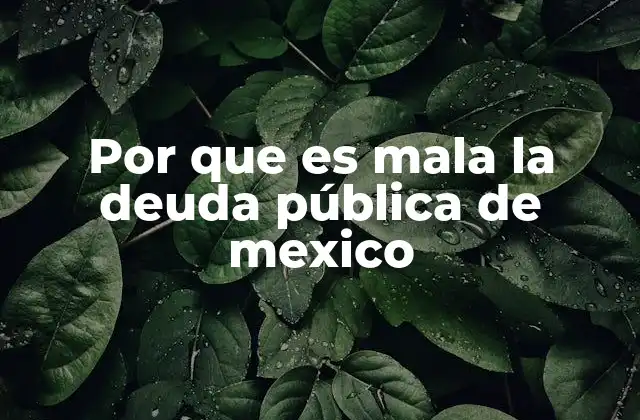 Por que es Mala la Deuda Pública de Mexico