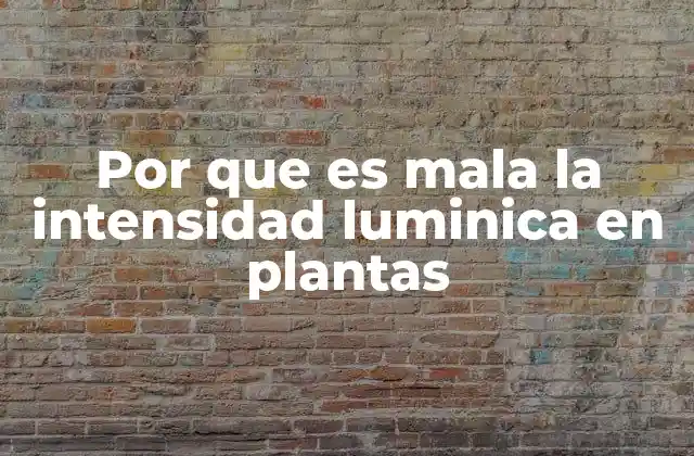 Cómo la luz afecta la fisiología de las plantas