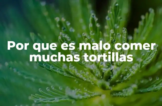 Por que es Malo Comer Muchas Tortillas