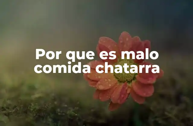 Por que es Malo Comida Chatarra