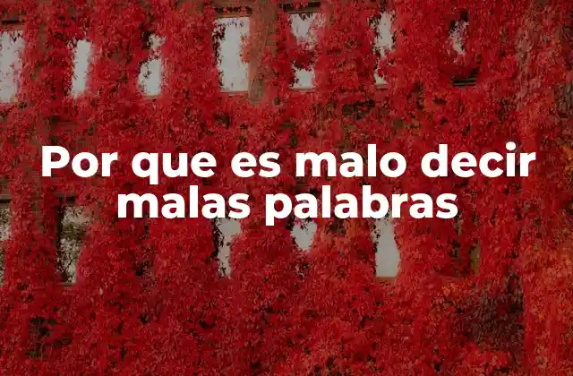 Por que es Malo Decir Malas Palabras 2 El impacto psicológico y social del lenguaje ofensivo