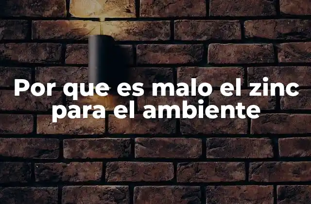 Por que es Malo el Zinc para el Ambiente