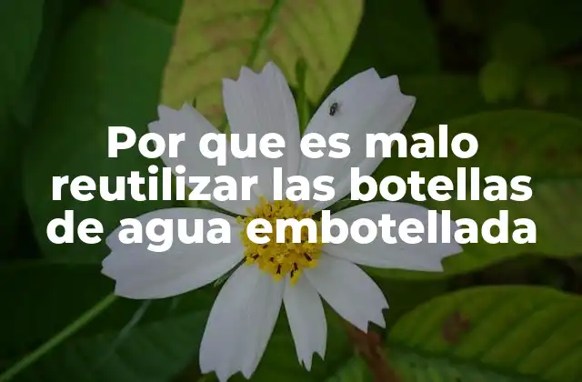Por que es Malo Reutilizar las Botellas de Agua Embotellada