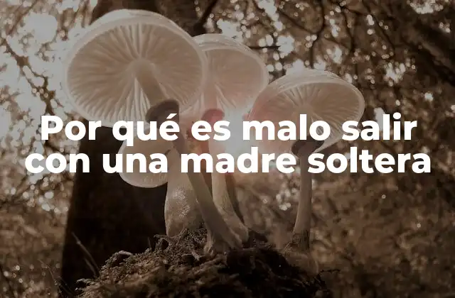 Por Qué es Malo Salir con una Madre Soltera