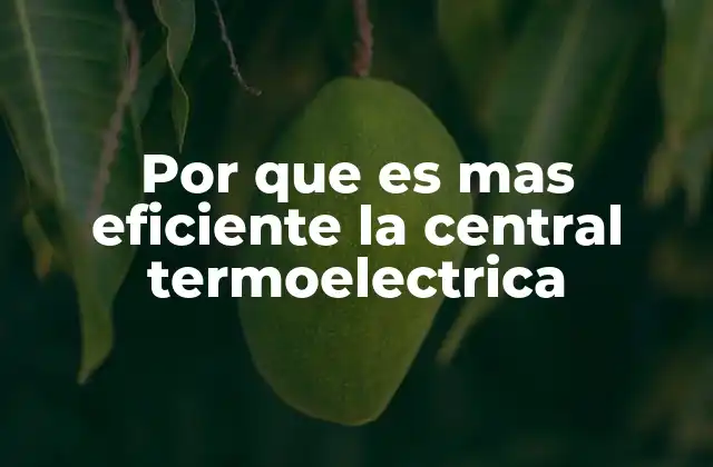 Por que es mas Eficiente la Central Termoelectrica