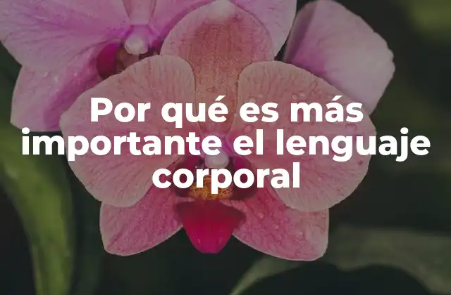 Por Qué es Más Importante el Lenguaje Corporal 2 La influencia del lenguaje corporal en la percepción social