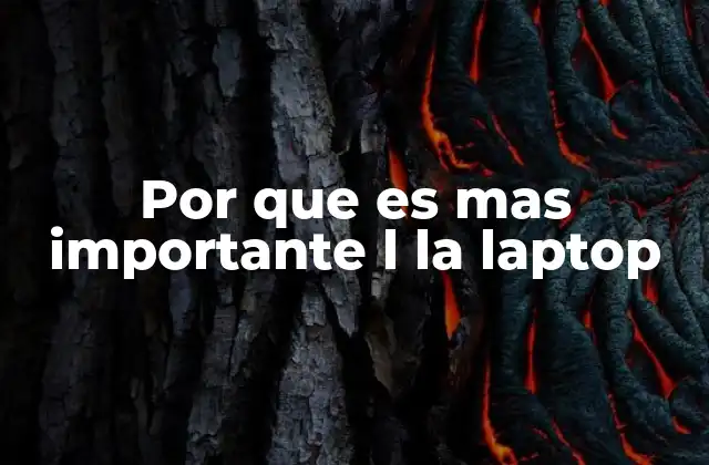 Por que es mas Importante L la Laptop