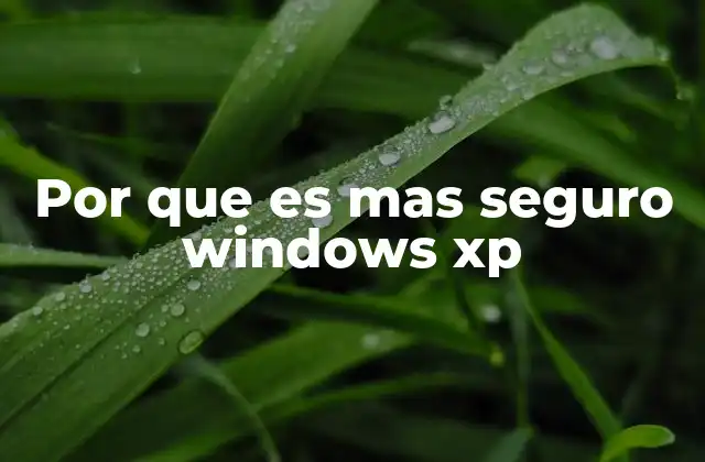 Por que es mas Seguro Windows Xp