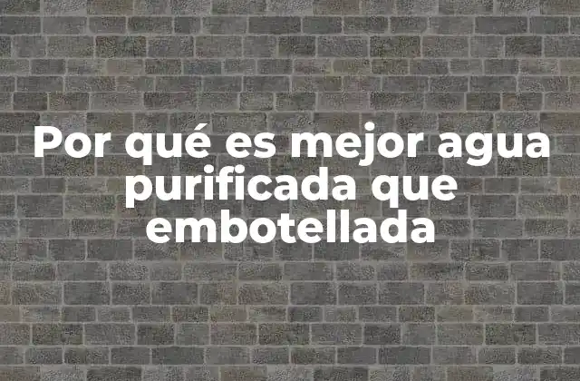 Por Qué es Mejor Agua Purificada que Embotellada 2 Ventajas del agua purificada sobre otras fuentes de agua potable