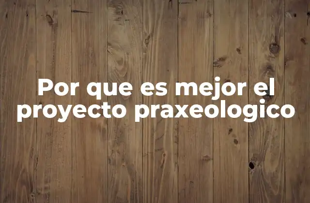 Por que es Mejor el Proyecto Praxeologico