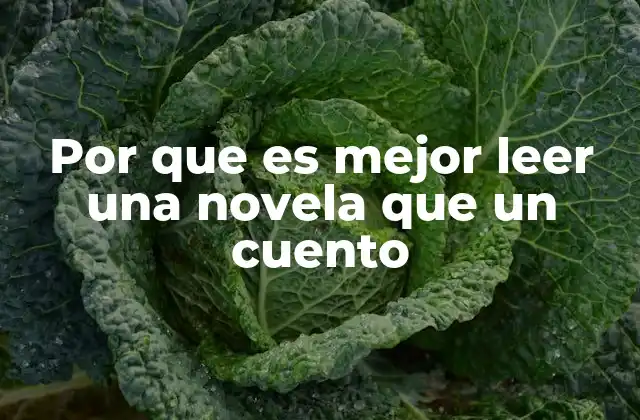 Por que es Mejor Leer una Novela que un Cuento