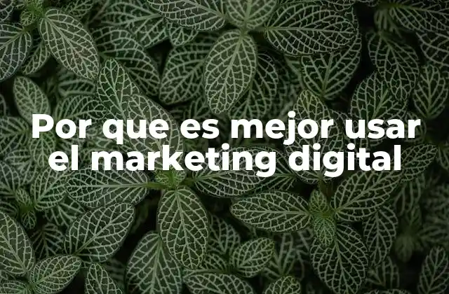 Por que es Mejor Usar el Marketing Digital