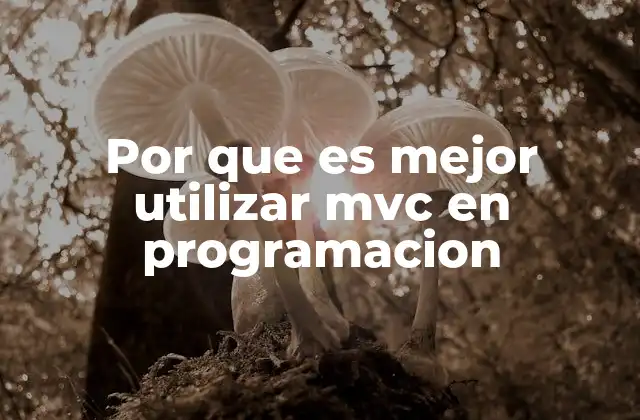 Por que es Mejor Utilizar Mvc en Programacion