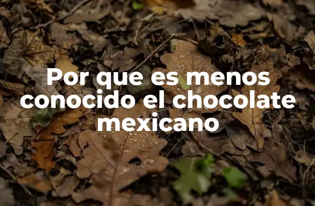 Por que es Menos Conocido el Chocolate Mexicano