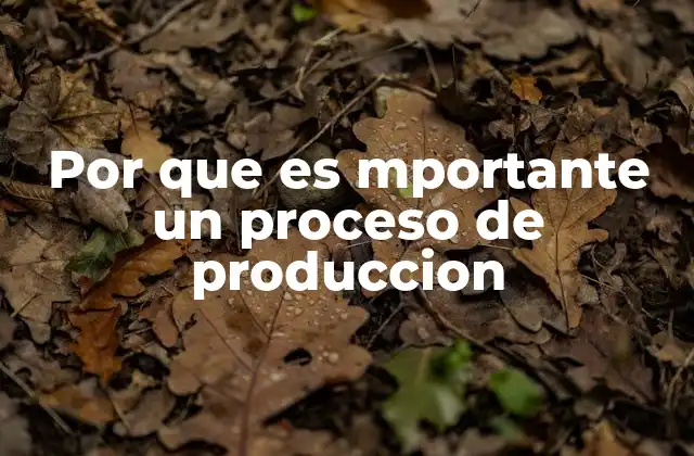 Por que es Mportante un Proceso de Produccion