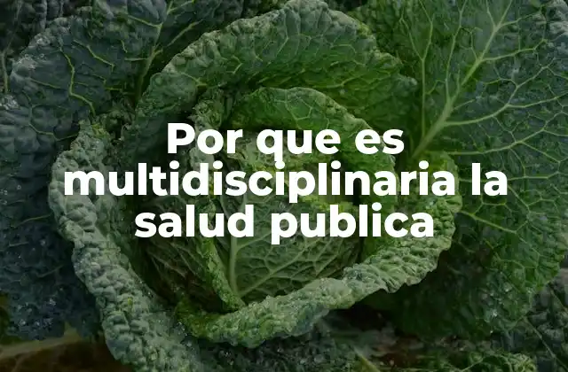 Por que es Multidisciplinaria la Salud Publica