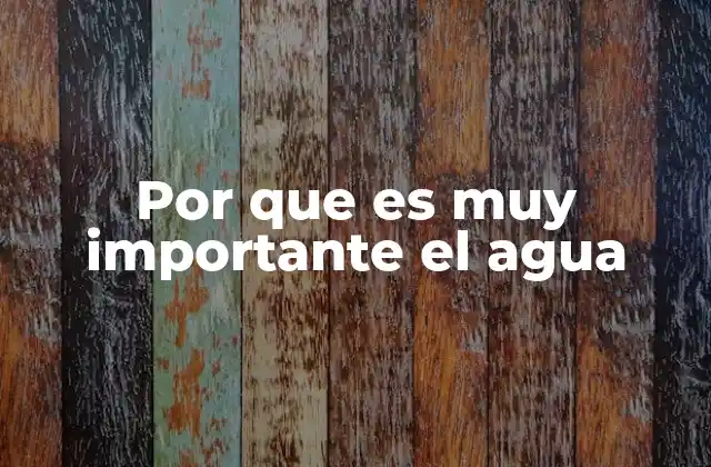 Por que es Muy Importante el Agua