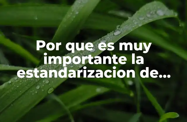 Por que es Muy Importante la Estandarizacion de Procesos