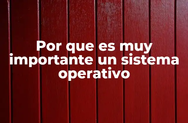 Por que es Muy Importante un Sistema Operativo