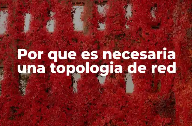 La importancia de una estructura organizada en la conectividad