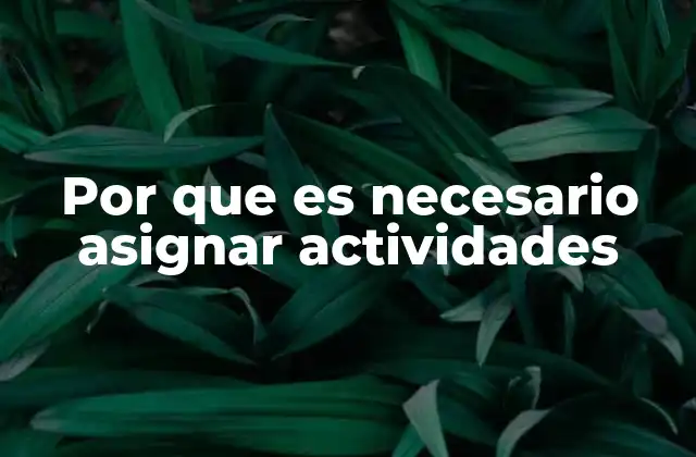 Por que es Necesario Asignar Actividades