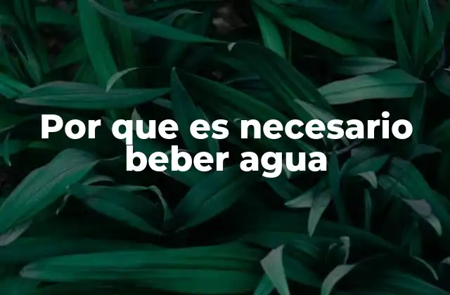 Por que es Necesario Beber Agua