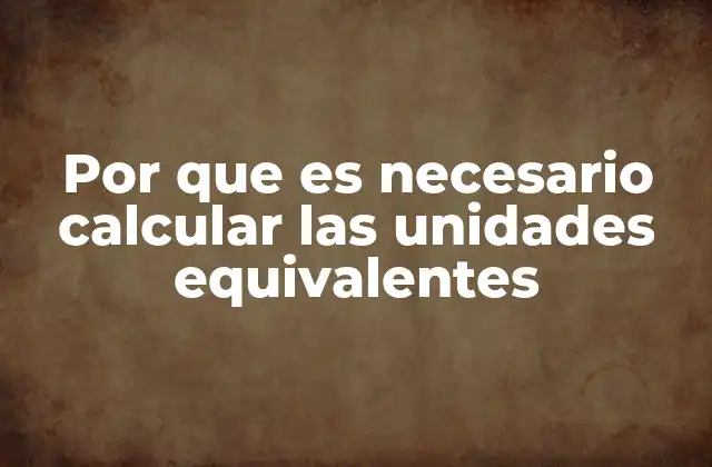 Por que es Necesario Calcular las Unidades Equivalentes