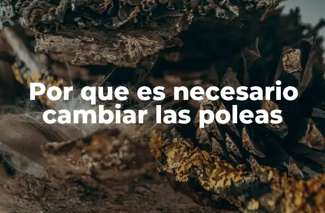 Por que es Necesario Cambiar las Poleas