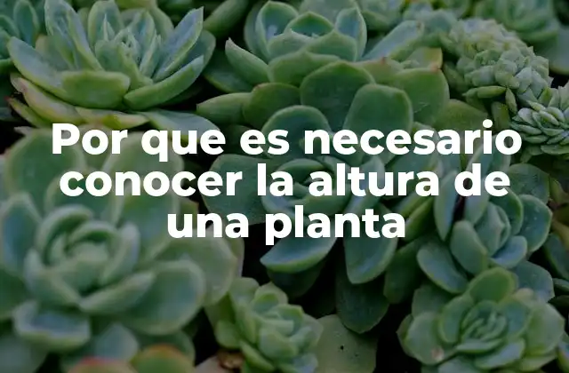 Por que es Necesario Conocer la Altura de una Planta