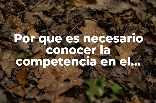 Por que es Necesario Conocer la Competencia en el Mercado