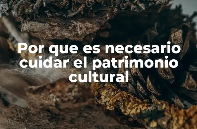 Por que es Necesario Cuidar el Patrimonio Cultural