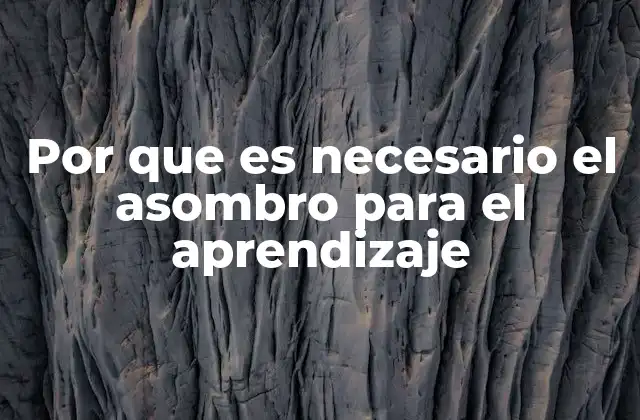 Por que es Necesario el Asombro para el Aprendizaje