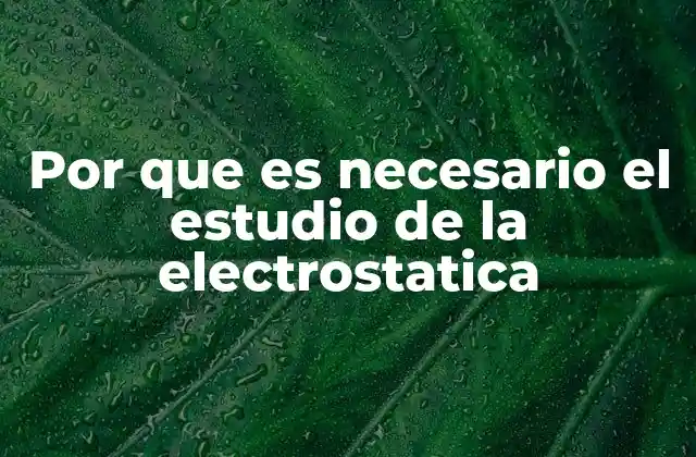 Por que es Necesario el Estudio de la Electrostatica
