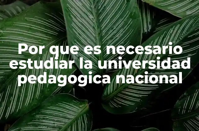 Por que es Necesario Estudiar la Universidad Pedagogica Nacional