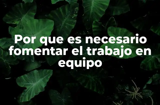 Por que es Necesario Fomentar el Trabajo en Equipo