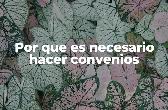Por que es Necesario Hacer Convenios