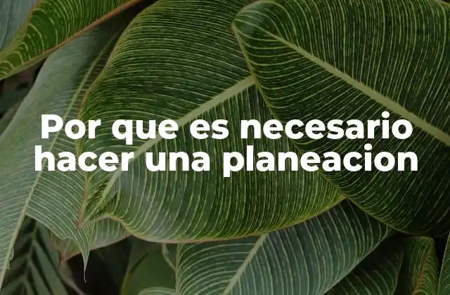 Por que es Necesario Hacer una Planeacion