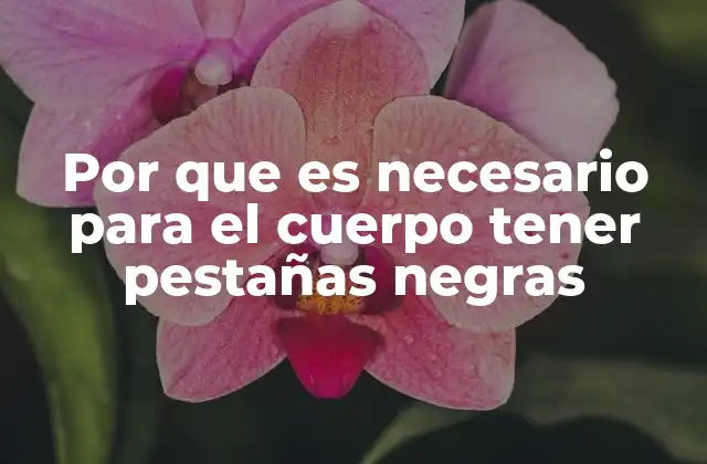 Por que es Necesario para el Cuerpo Tener Pestañas Negras