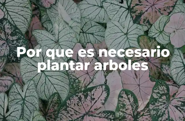 Por que es Necesario Plantar Arboles