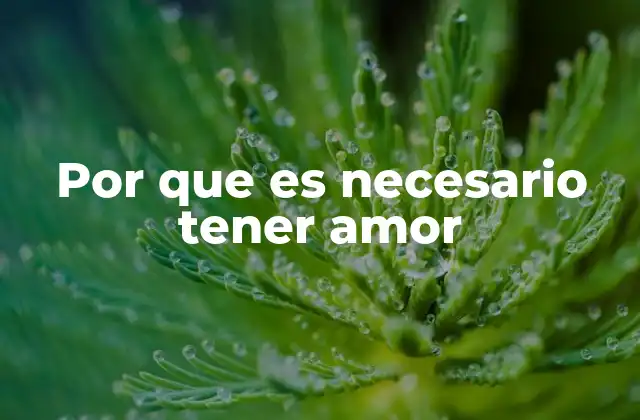 Por que es Necesario Tener Amor