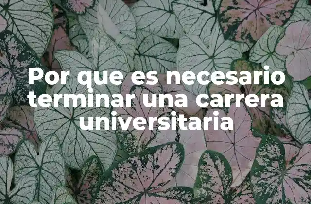 Por que es Necesario Terminar una Carrera Universitaria