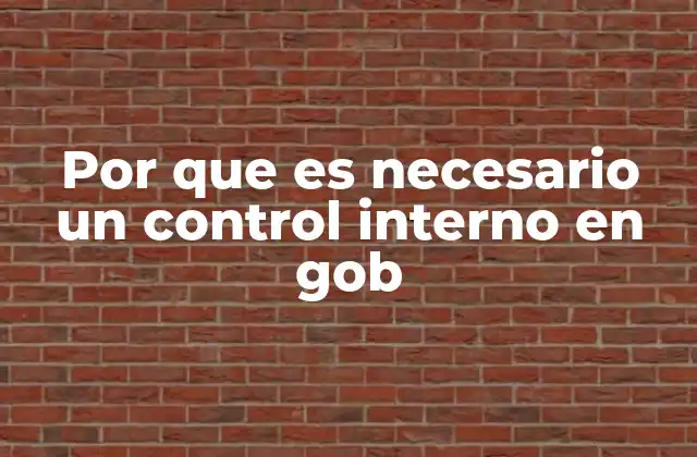 Por que es Necesario un Control Interno en Gob