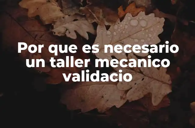Por que es Necesario un Taller Mecanico Validacio