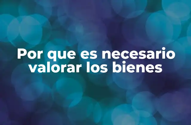 Por que es Necesario Valorar los Bienes