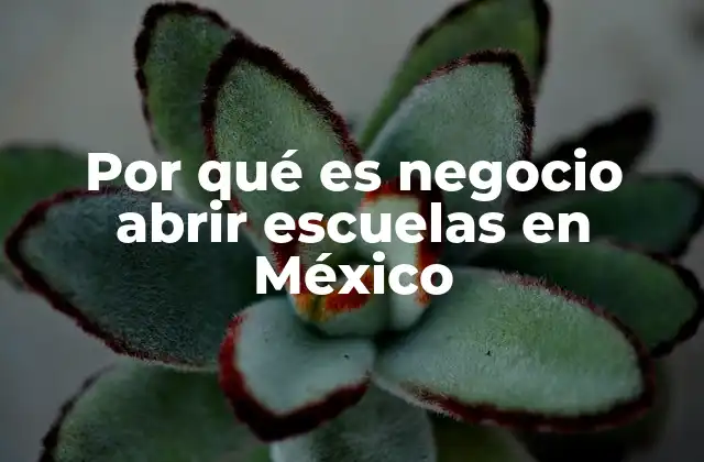 Por Qué es Negocio Abrir Escuelas en México 2 El potencial de las escuelas en un mercado competitivo