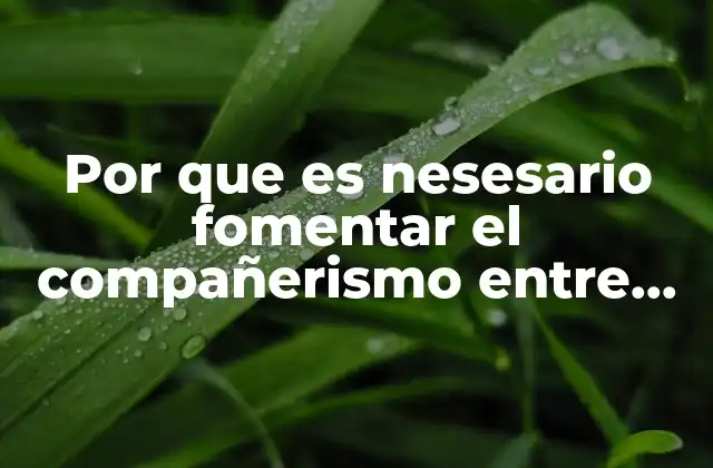 Por que es Nesesario Fomentar el Compañerismo entre los Trabajadores