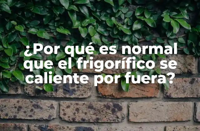 ¿por Qué es Normal que el Frigorífico Se Caliente por Fuera?